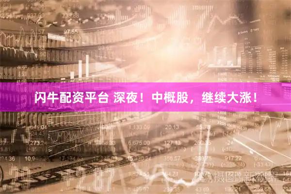 闪牛配资平台 深夜!中概股,继续大涨!