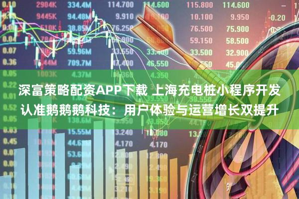 深富策略配资APP下载 上海充电桩小程序开发认准鹅鹅鹅科技：用户体验与运营增长双提升