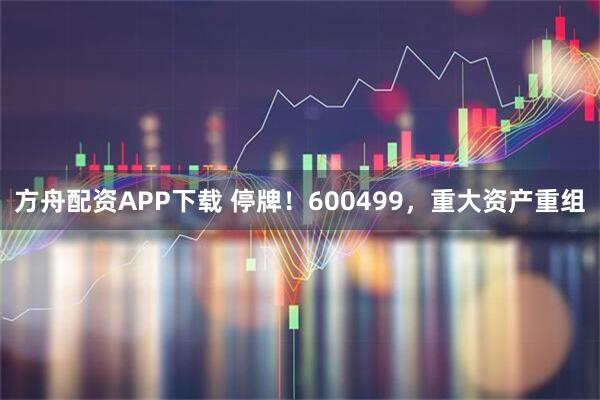 方舟配资APP下载 停牌！600499，重大资产重组